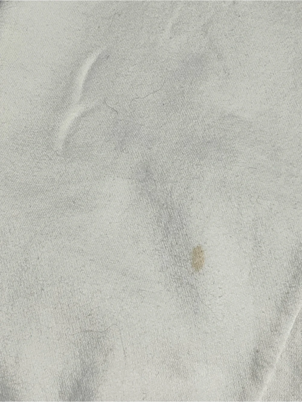 Hollister soft white